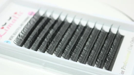 Levi Eyelash 2D Y Shape Extensión de pestañas Venta al por mayor Yy Lashes 0.05mm 0.07mm Yy Lash Extensions Etiqueta privada