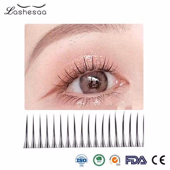 Extensiones de pestañas planas de elipse suave de venta caliente Extensiones de pestañas planas de cachemira Pestañas falsas planas